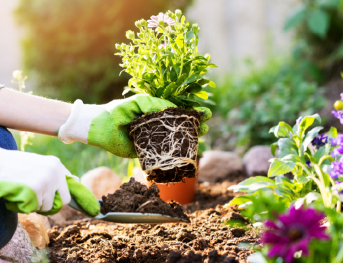Jobs In The Garden This May