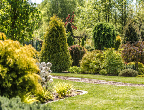 Jobs In The Garden In June