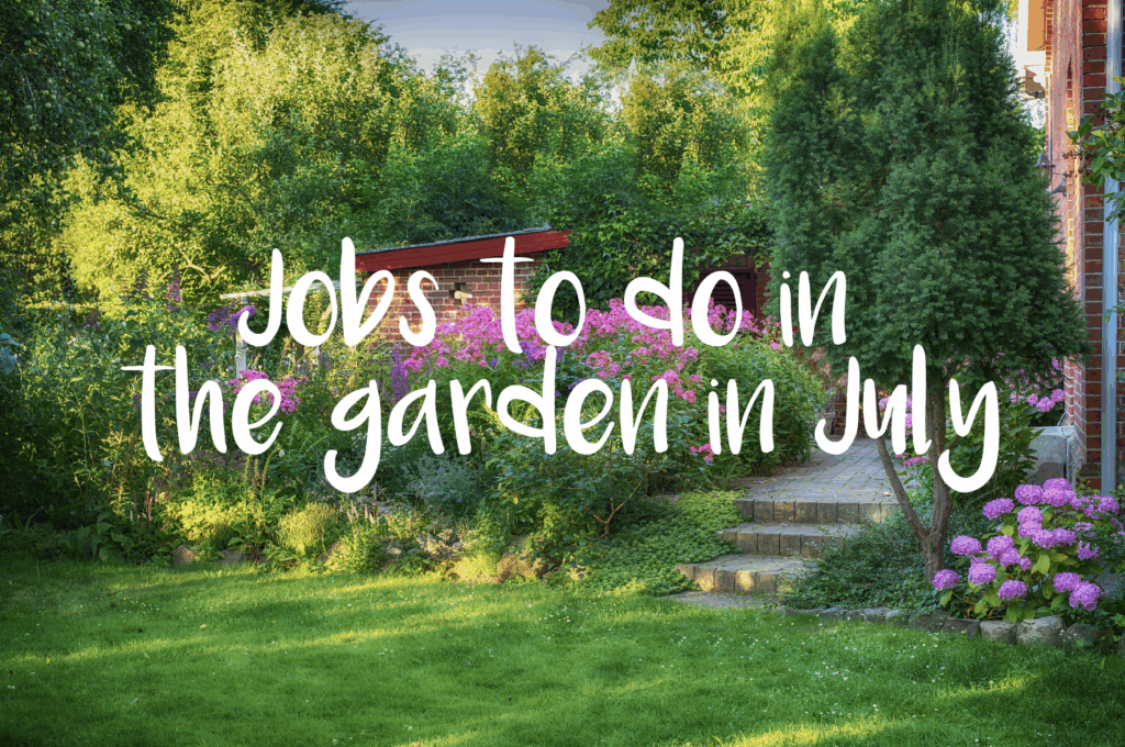 Jobs in the garden july new