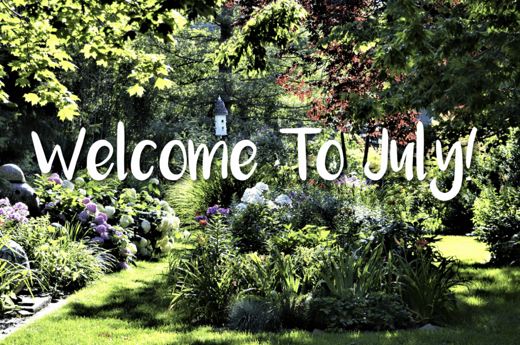 welcome to July gardens