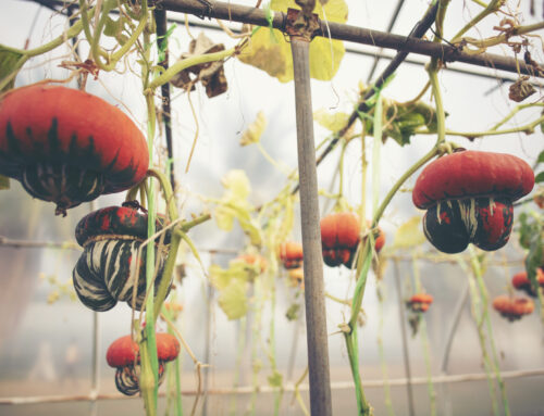 Jobs In The Garden In October