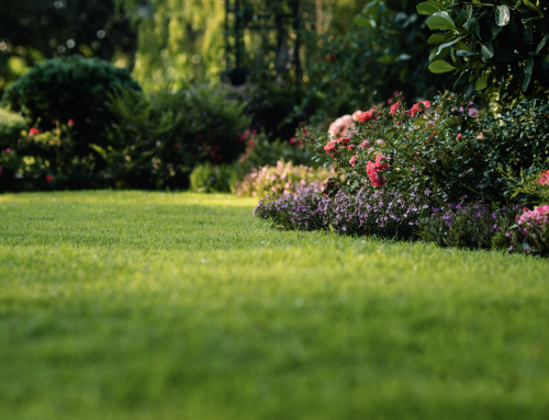 Gardening in June